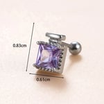 Purple / 1 Piece Simple Series Classic Square Titanium Steel Silver Color Material Zircon Women's Stud Earrings 